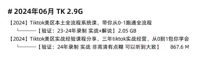 图片[9]-TikTok教程！海外抖音开店 TikTok国际版营销跨境电商课程-秦汉网创