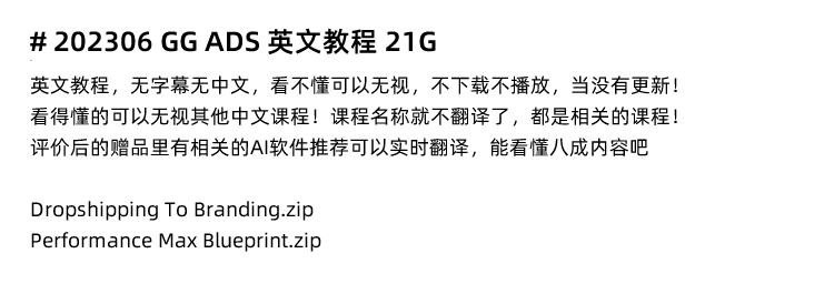 图片[12]-Google Ads教程，GG ADS谷歌海外投放广告付费流量外贸跨境电商推广最新课程-秦汉网创