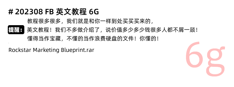 图片[11]-Facebook新手入门培训！Meta/Facebook Ads脸书广告投放FB课程推广营销教程-秦汉网创