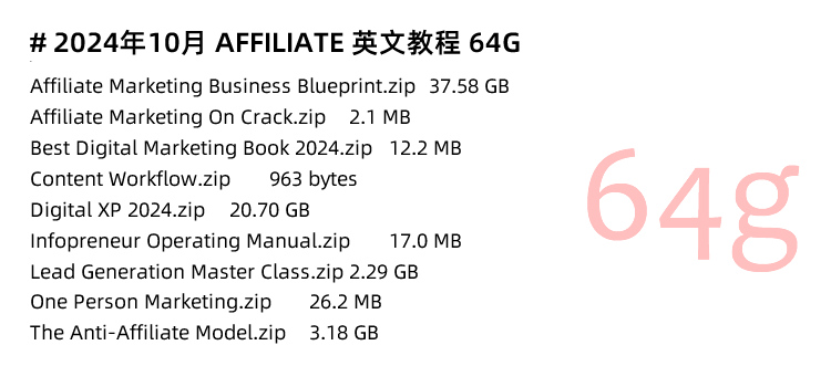 图片[5]-Affiliate Marketing教程！联属网络营销海外广告推广运营培训课程-秦汉网创