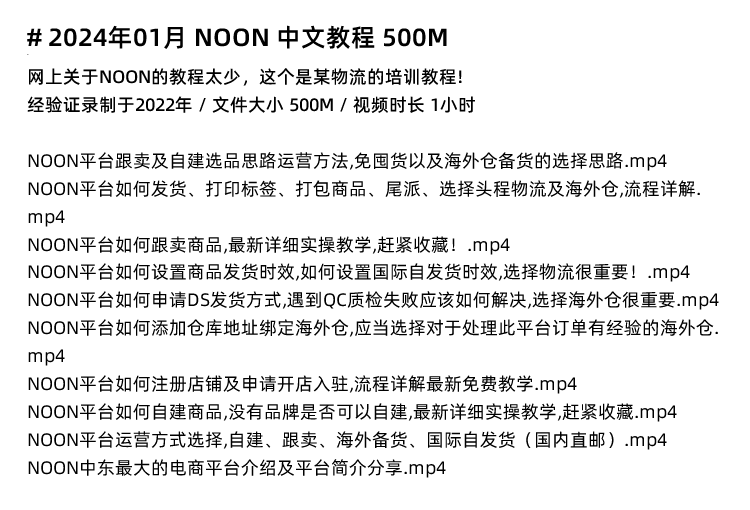 图片[5]-noon教程 noon选品 运营 广告 noon新手 中东电商学习-秦汉网创