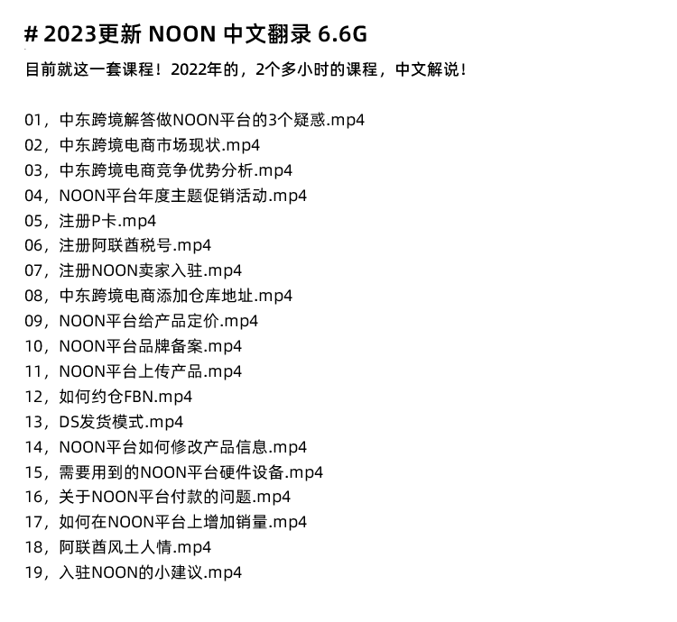 图片[6]-noon教程 noon选品 运营 广告 noon新手 中东电商学习-秦汉网创