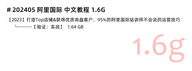 图片[6]-阿里巴巴国际站教程，阿里国际站店铺旺铺装修详情页设计打造爆品运营教程-秦汉网创