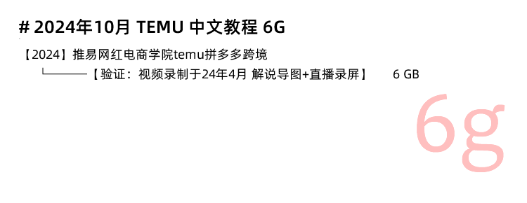 图片[6]-拼多多海外版Temu跨境新手入门电商课程，Temu运营培训视频教程-秦汉网创