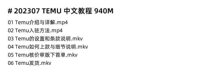 图片[16]-拼多多海外版Temu跨境新手入门电商课程，Temu运营培训视频教程-秦汉网创