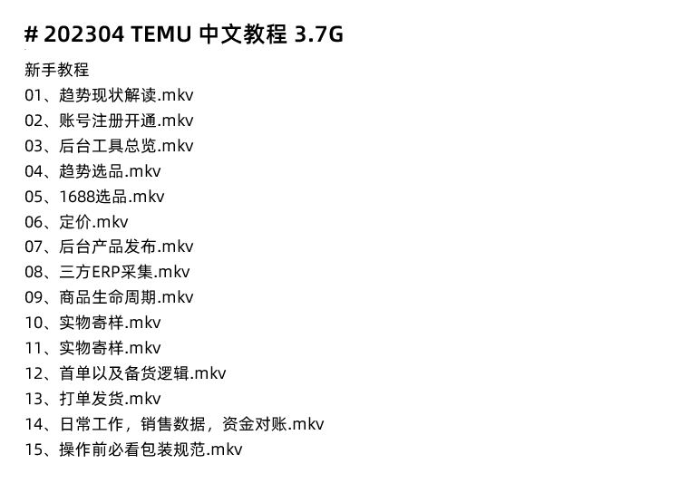 图片[19]-拼多多海外版Temu跨境新手入门电商课程，Temu运营培训视频教程-秦汉网创